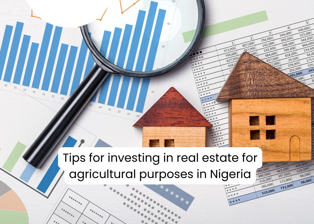 Tips For Investing In Real Estate For Agricultural Purposes In Nigeria